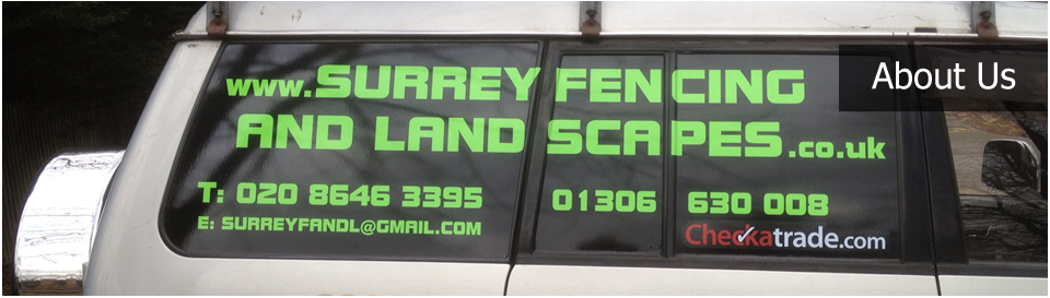 banner-about-us